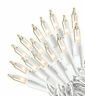 9839226 4060-71 Celebrations Inc Mini Clr Wc 843518009475 9839226 4060-71 Celebrations Inc Mini Clr Wc 843518009475