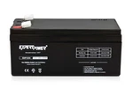 Expert Power 12V 3.3AH Replacement Battery For Apc Back Ups Es 350 EXP1233. Fixed Price $22.99.