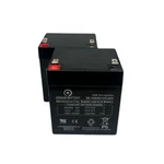 Minuteman E1100 Ups Replacement Battery Kit 12V 5AH Sla Agm Hr F2 2-PACK. Fixed Price $38.95.