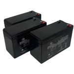 Minuteman PRO1500E Battery Replacement Kit 3 Pack 12V 9AH High-rate Series. Fixed Price $85.95.