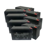 Minuteman Battery Replacement Kit, Also Fits CPE3000RM Models. Fixed Price $208.95.